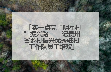 实干点亮“明星村”振兴路——记贵州省乡村振兴优秀驻村工作队员王培欢