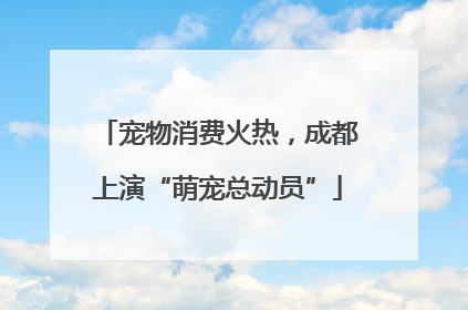 宠物消费火热，成都上演“萌宠总动员”