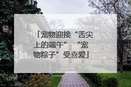 宠物迎接“舌尖上的端午” “宠物粽子”受喜爱