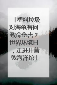 塑料垃圾对海龟有何致命伤害？世界环境日，走进开普敦海洋馆