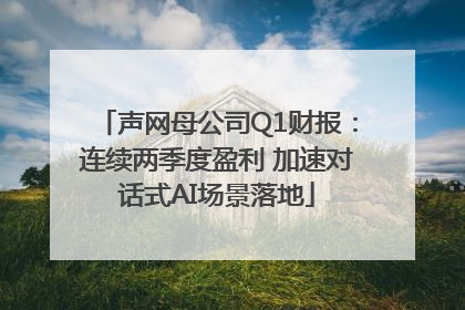 声网母公司Q1财报：连续两季度盈利 加速对话式AI场景落地
