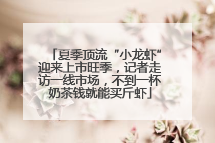 夏季顶流“小龙虾”迎来上市旺季，记者走访一线市场，不到一杯奶茶钱就能买斤虾