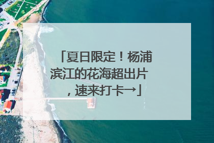 夏日限定！杨浦滨江的花海超出片，速来打卡→