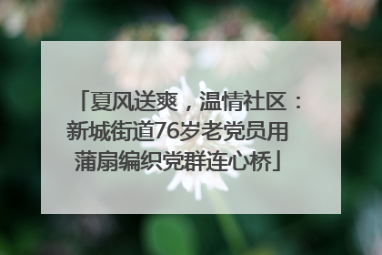 夏风送爽，温情社区：新城街道76岁老党员用蒲扇编织党群连心桥