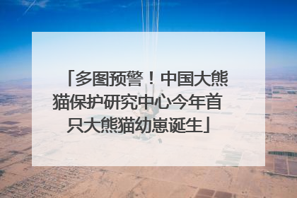 多图预警！中国大熊猫保护研究中心今年首只大熊猫幼崽诞生