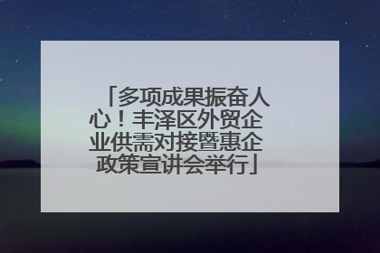 多项成果振奋人心！丰泽区外贸企业供需对接暨惠企政策宣讲会举行