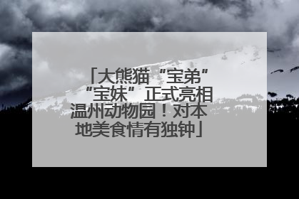 大熊猫“宝弟”“宝妹”正式亮相温州动物园！对本地美食情有独钟