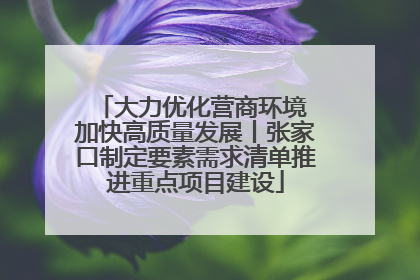 大力优化营商环境 加快高质量发展丨张家口制定要素需求清单推进重点项目建设