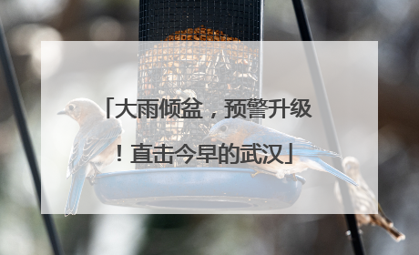 大雨倾盆，预警升级！直击今早的武汉