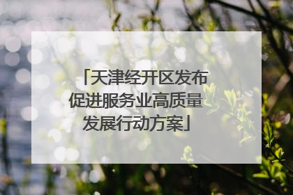 天津经开区发布促进服务业高质量发展行动方案