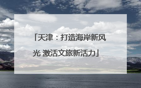 天津：打造海岸新风光 激活文旅新活力