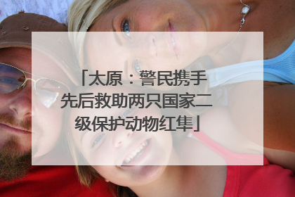 太原：警民携手 先后救助两只国家二级保护动物红隼