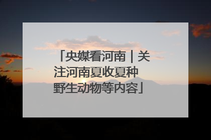 央媒看河南｜关注河南夏收夏种 野生动物等内容
