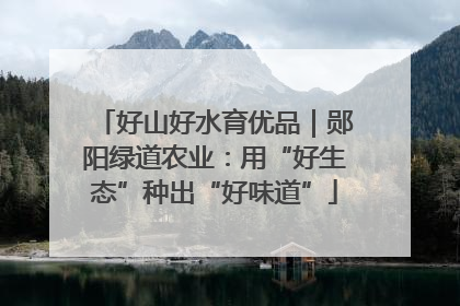 好山好水育优品｜郧阳绿道农业：用“好生态”种出“好味道”