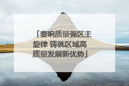 奏响质量强区主旋律 铸就区域高质量发展新优势