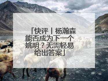快评丨杨瀚森能否成为下一个姚明？无需轻易给出答案