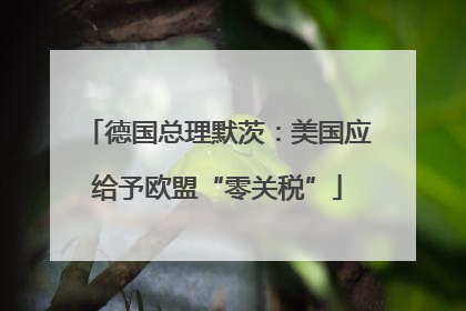 德国总理默茨：美国应给予欧盟“零关税”