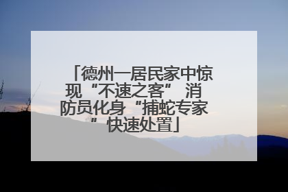 德州一居民家中惊现“不速之客” 消防员化身“捕蛇专家”快速处置