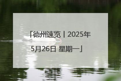 德州速览丨2025年5月26日 星期一