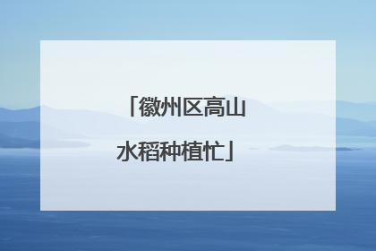 徽州区高山水稻种植忙