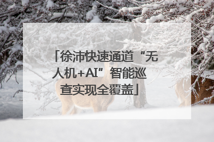 徐沛快速通道“无人机+AI”智能巡查实现全覆盖