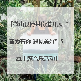 微山县傅村街道开展“音为有你 遇见美好”521主题音乐活动