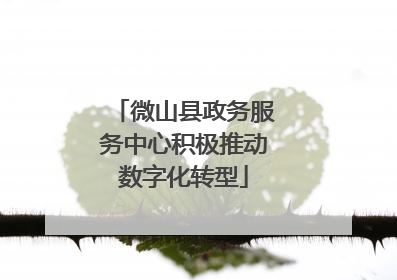 微山县政务服务中心积极推动数字化转型