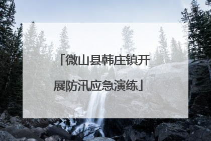 微山县韩庄镇开展防汛应急演练