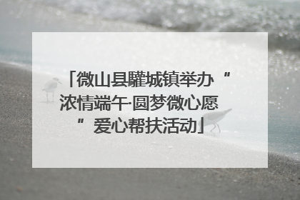 微山县驩城镇举办“浓情端午·圆梦微心愿”爱心帮扶活动