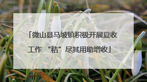 微山县马坡镇积极开展夏收工作 “秸”尽其用助增收