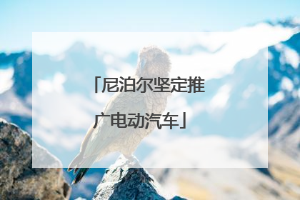 尼泊尔坚定推广电动汽车