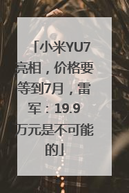 小米YU7亮相，价格要等到7月，雷军：19.9万元是不可能的