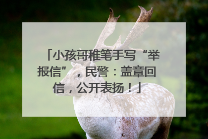 小孩哥稚笔手写“举报信”，民警：盖章回信，公开表扬！