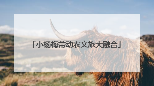 小杨梅带动农文旅大融合