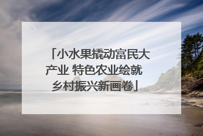 小水果撬动富民大产业 特色农业绘就乡村振兴新画卷