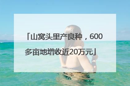 山窝头里产良种，600多亩地增收近20万元