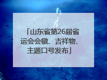 山东省第26届省运会会徽、吉祥物、主题口号发布