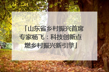 山东省乡村振兴首席专家杨飞：科技创新点燃乡村振兴新引擎