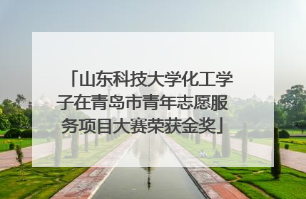 山东科技大学化工学子在青岛市青年志愿服务项目大赛荣获金奖