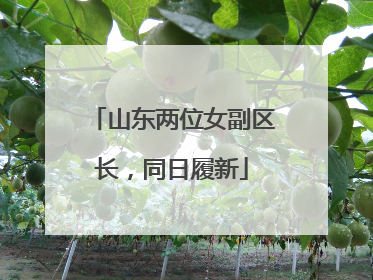 山东两位女副区长，同日履新