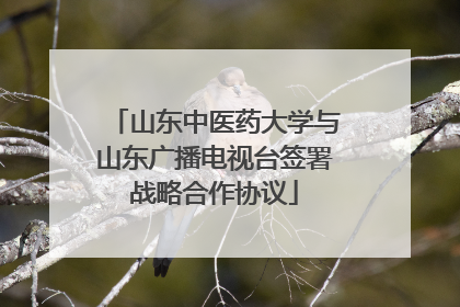 山东中医药大学与山东广播电视台签署战略合作协议