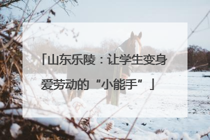 山东乐陵：让学生变身爱劳动的“小能手”