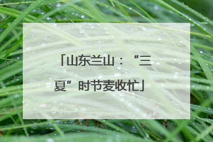 山东兰山：“三夏”时节麦收忙