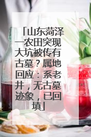 山东菏泽一农田突现大坑被传有古墓？属地回应：系老井，无古墓迹象，已回填