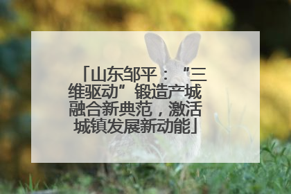 山东邹平：“三维驱动”锻造产城融合新典范，激活城镇发展新动能
