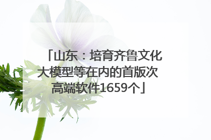山东：培育齐鲁文化大模型等在内的首版次高端软件1659个