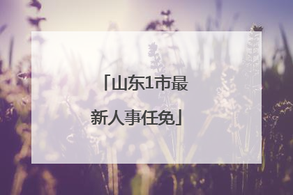 山东1市最新人事任免
