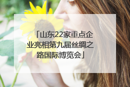 山东22家重点企业亮相第九届丝绸之路国际博览会