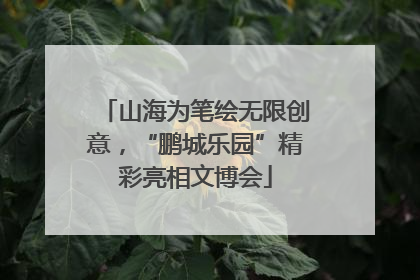 山海为笔绘无限创意，“鹏城乐园”精彩亮相文博会