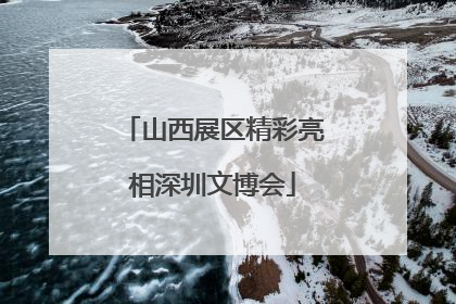 山西展区精彩亮相深圳文博会